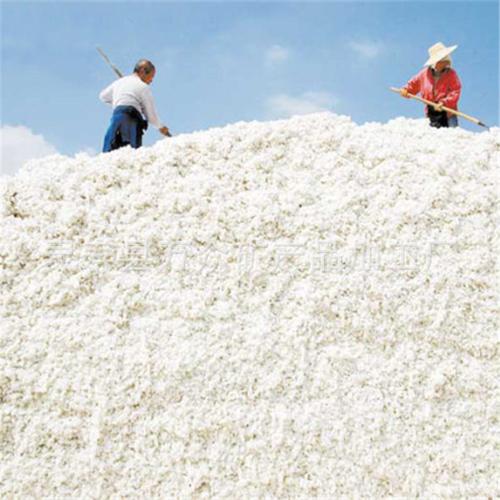 万众长期出售棉籽壳 玉米芯 棉渣 麦麸 棉粕 棉籽壳颗粒