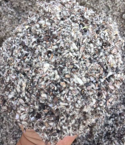 厂家直销棉籽壳新疆湖北湖南棉籽壳茶树菇原料食用菌培养基